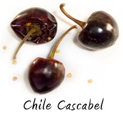 Chile cascabel