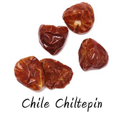 Chile chiltepin
