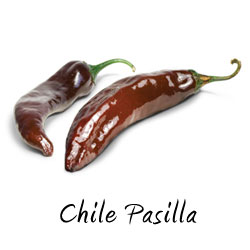 Chile pasilla