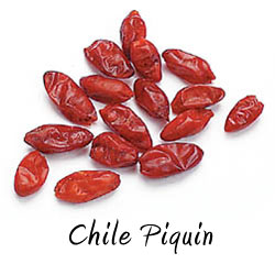 Chile piquin