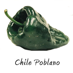 Chile poblano