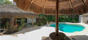 Jungle Dust Cancun