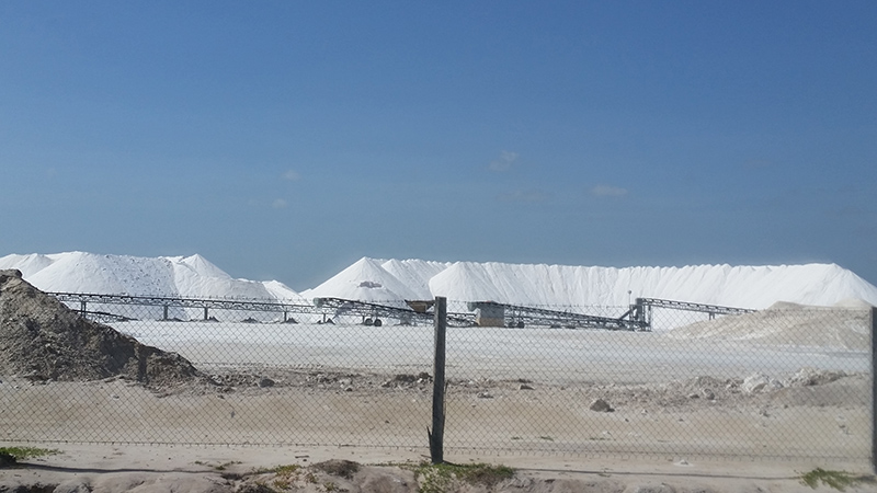 Las coloradas